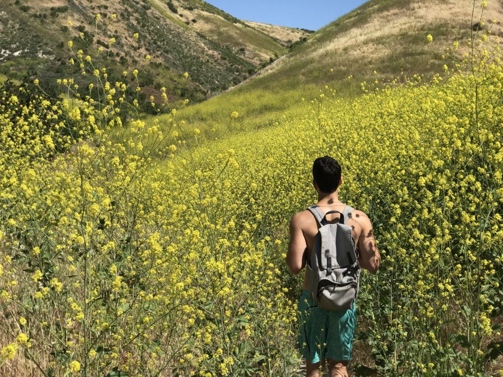 man walking in flowers