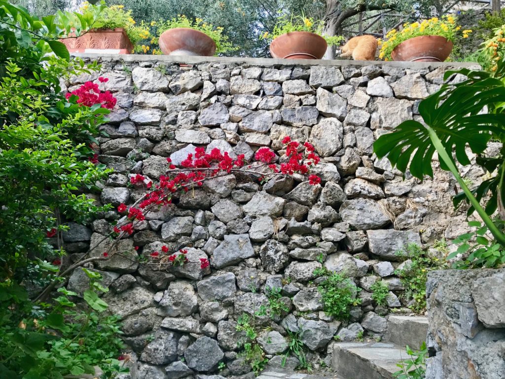 flower vines